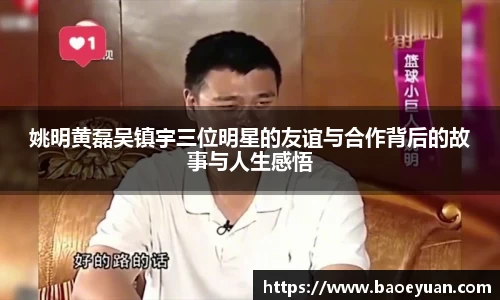 yy体育